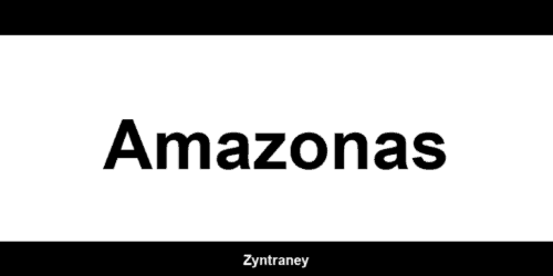 Telefone da Western Union em Amazonas