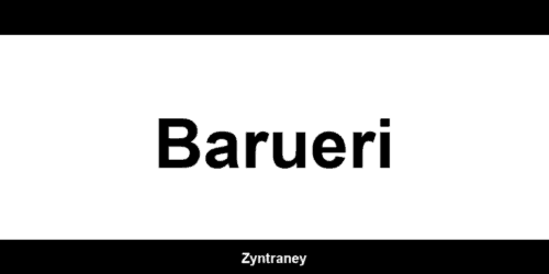 Telefone da Western Union em Barueri