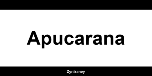 Telefone da Western Union em Apucarana